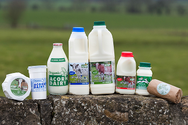 Agile Frameworks in Dairy Projects