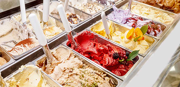 Premium Gelato Shops